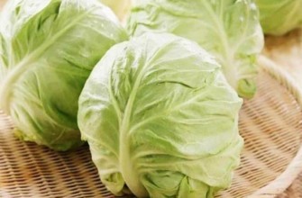 กะหล่ำปลีสะอาด