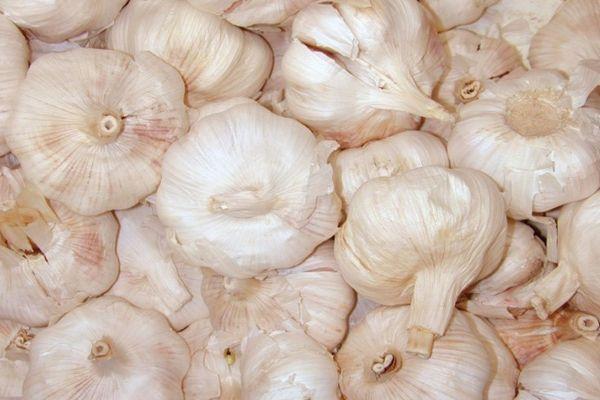 กระเทียมขาว