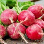 หัวไชเท้าสด