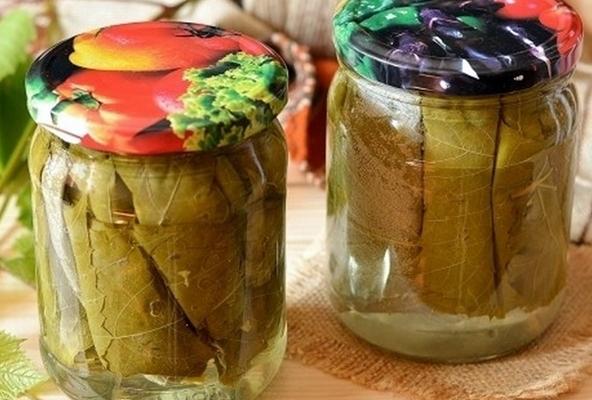 การดองใบองุ่น