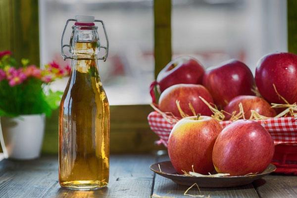 vinaigre de cidre de pomme en bouteille