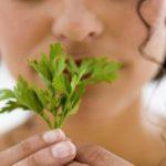 เด็กผู้หญิงกับผักชีฝรั่ง