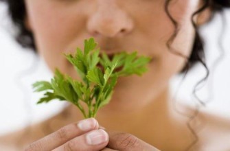 เด็กผู้หญิงกับผักชีฝรั่ง