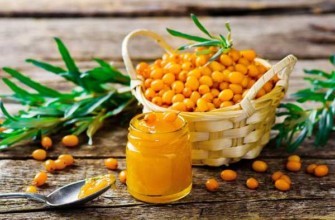 น้ำซุปข้นซีบัคธอร์น