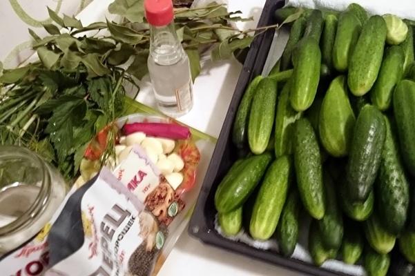 แตงกวาสำหรับดองแตงกวา