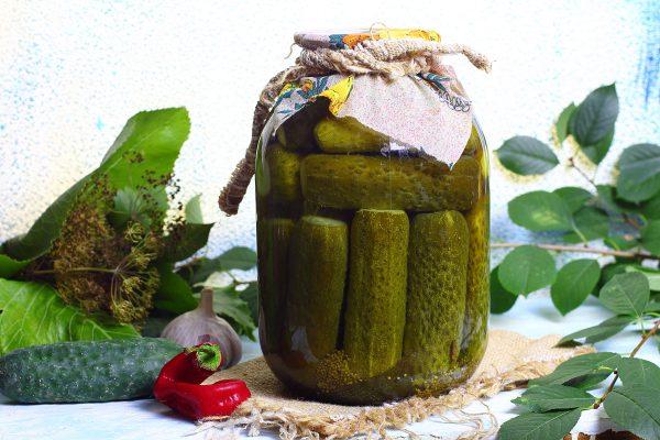 แตงกวากระป๋องในขวด