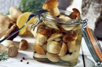 เห็ดพอชินีดองในขวด