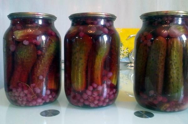 แตงกวากับลูกเกดขาวในขวด