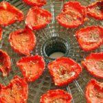 tomates dans un séchoir électrique