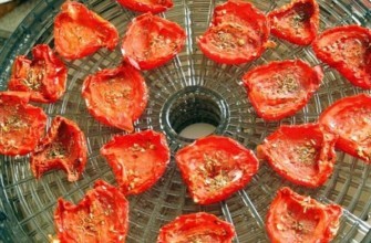 มะเขือเทศในเครื่องอบผ้าไฟฟ้า