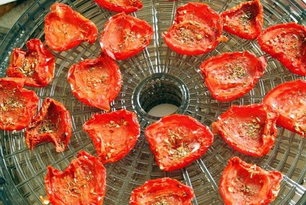 tomates dans un séchoir électrique