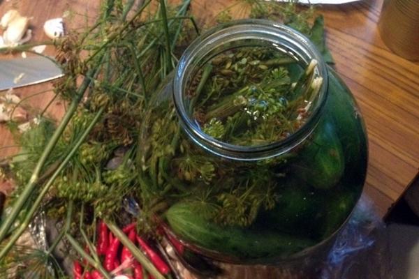 le processus de préparation des concombres aux escargots