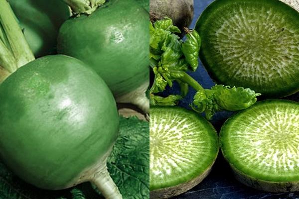 ลักษณะของหัวไชเท้ามาร์กิลัน