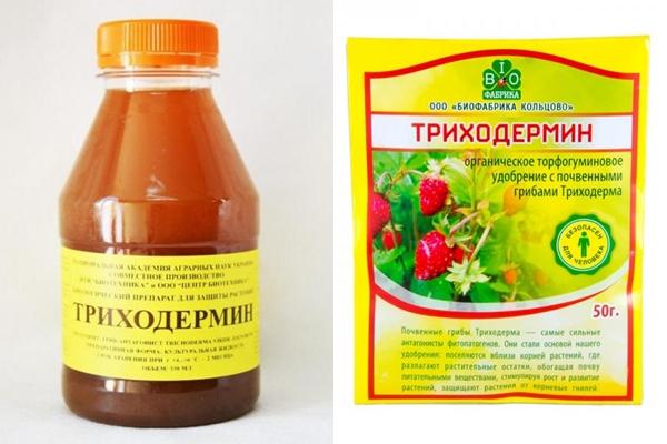 ไตรโคเดอร์มิน