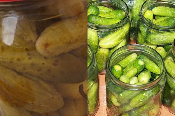 แซนด์วิชผักดองในขวด