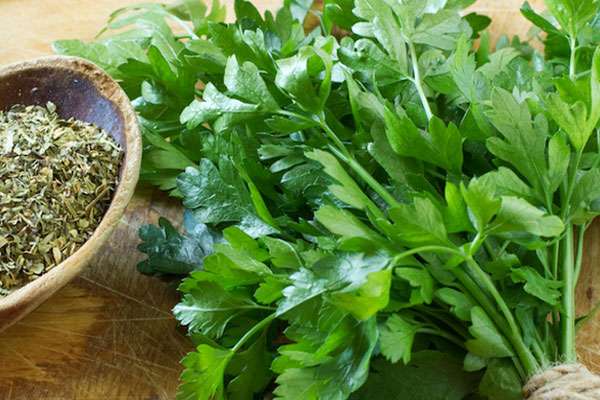 persil frais et séché