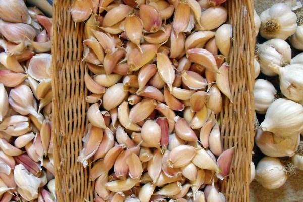 ชิ้นกระเทียมในกล่อง