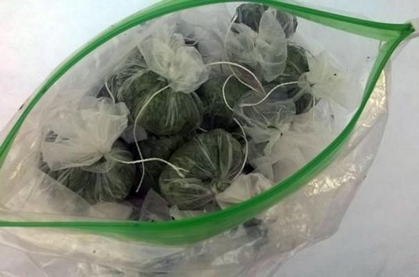 ผักชีฝรั่งแช่แข็งในถุง