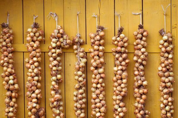 การเก็บหัวหอมไว้ในเปีย