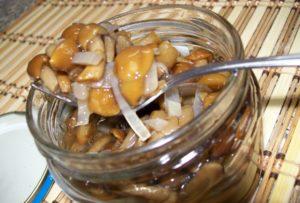 Comment mariner les champignons au miel dans des bocaux et des barils à la maison pour l'hiver : recettes simples et conditions de conservation