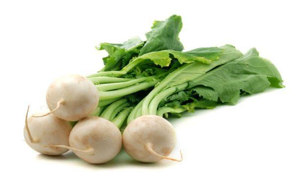 ลักษณะของหัวไชเท้า