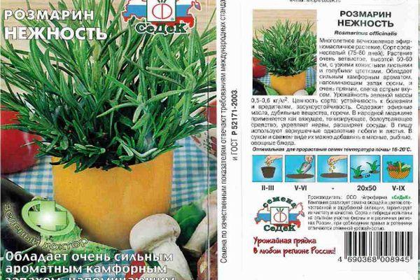 Tendresse au romarin