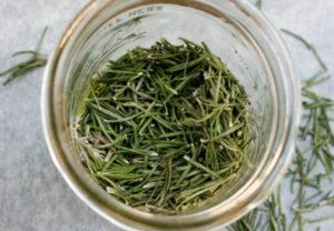 วิธีเก็บโรสแมรี่สดในตู้เย็น วิธีทำให้แห้ง และวิธีเตรียมสำหรับฤดูหนาว