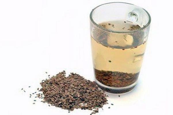 décoction de graines de persil