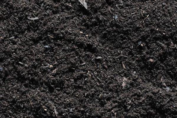 ดินสำหรับทำมิ้นต์