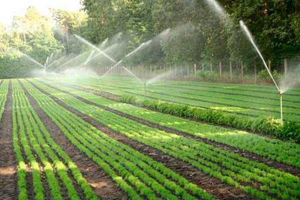 ระบบรดน้ำสวนอัตโนมัติ