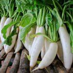 ไดคง มิโนวาชิ