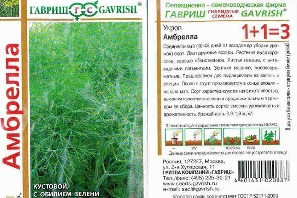 ร่มผักชีลาว