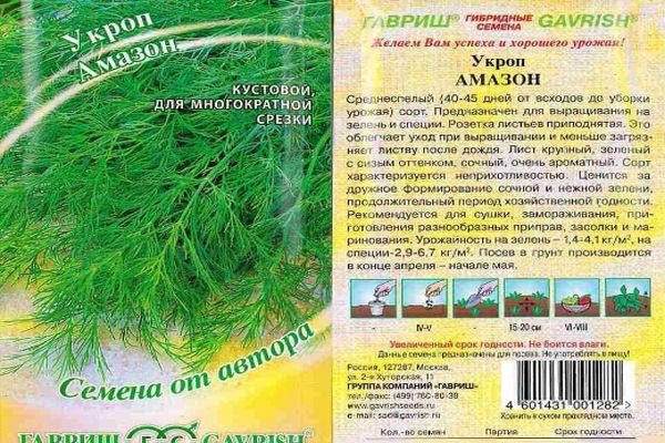 ผักชีลาว อเมซอน