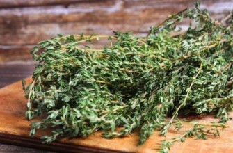 พวงไธม์