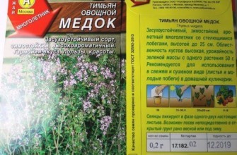 พันธุ์ไธม์