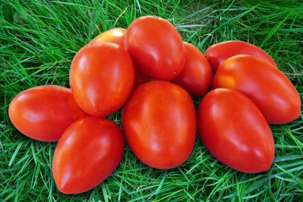 มะเขือเทศสุก