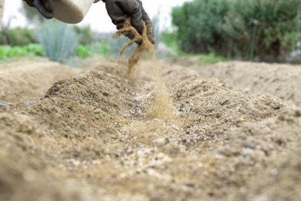 การใส่ปุ๋ยในดิน