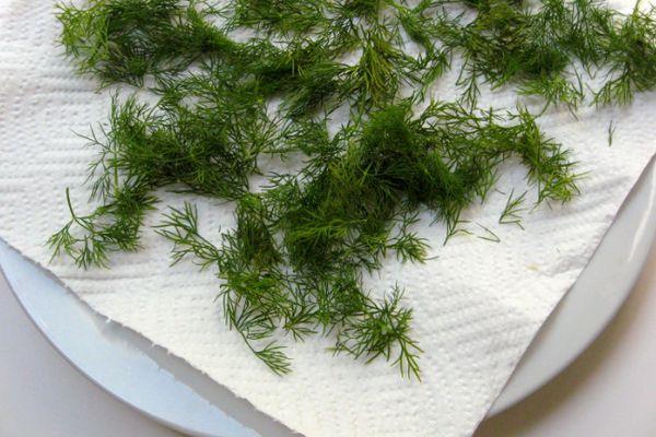 Aneth pour le séchage