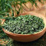 การอบแห้งผักชีลาว