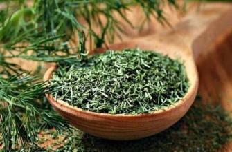 การอบแห้งผักชีลาว