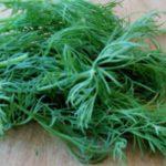 ผักชีลาวสด