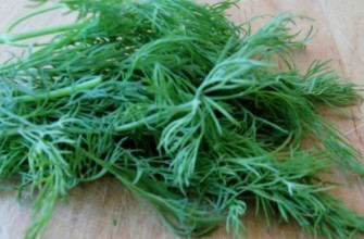 ผักชีลาวสด