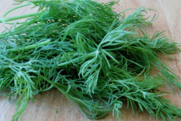 ผักชีลาวสด