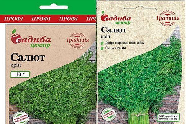 เมล็ดผักชีลาว