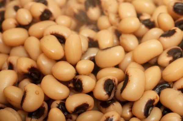 ถั่วดำต้ม