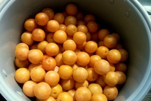 เชอร์รี่พลัมในหม้อหุงข้าวอเนกประสงค์