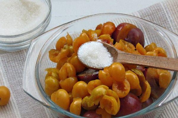 พลัมเชอร์รี่ไม่มีเมล็ด