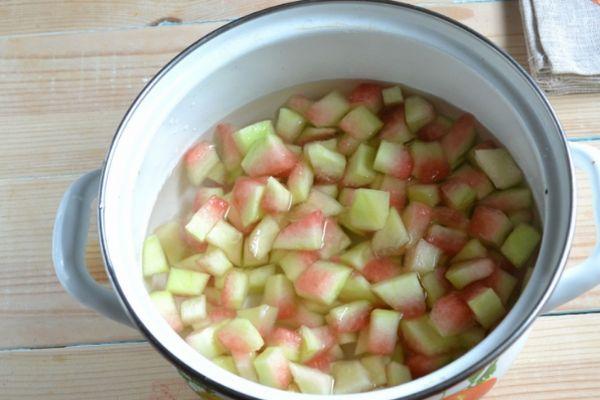 Écorces de pastèque dans l'eau