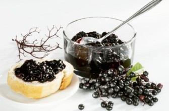 เบิร์ดเชอร์รี่เบอร์รี่