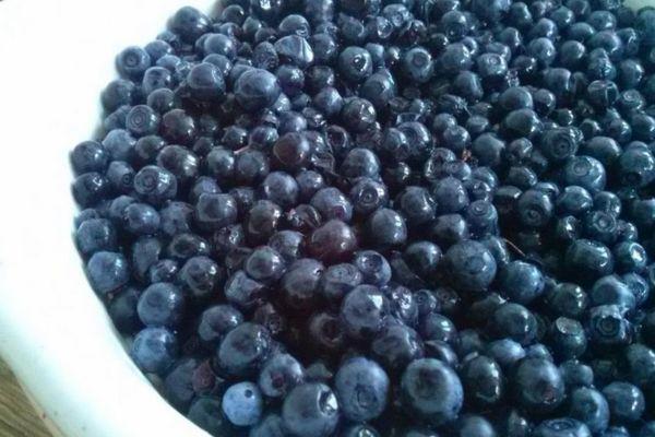 การล้างผลเบอร์รี่